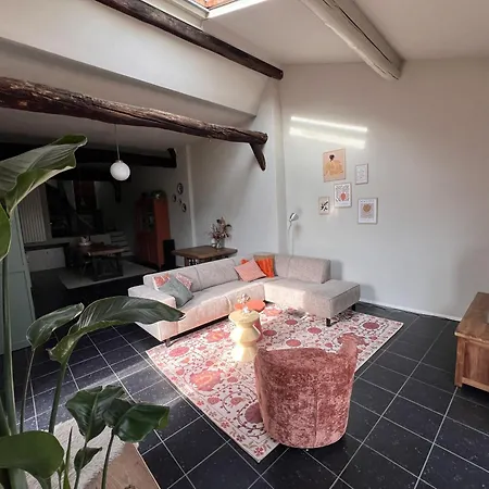 Atelier Aan De Linge Holiday home *